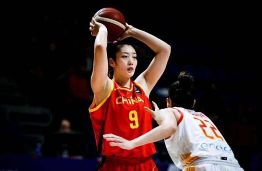 中国 业余的 自制的