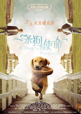 成年大片免费高清在线看黄