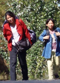 h视频在线观看视频