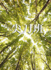 色多多www在线观看免费版