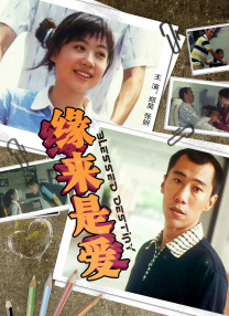 黄色三极片
