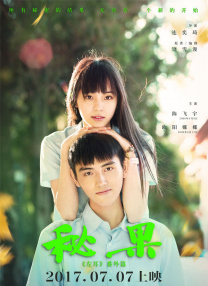 少妇久久免费视频