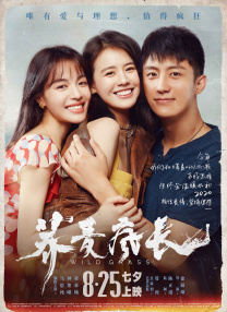 久久久综合av