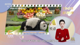 欧洲av不卡